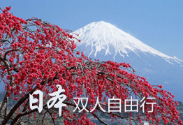 �ձ�˫��������